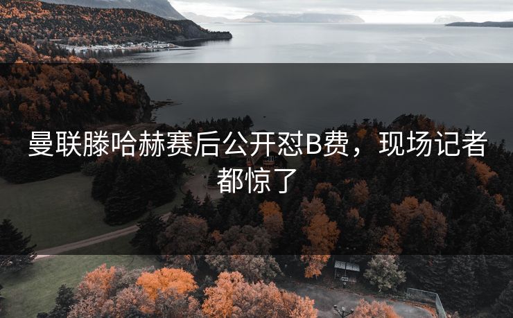 曼联滕哈赫赛后公开怼B费，现场记者都惊了