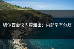 切尔西会议内容泄出：内部早有分歧