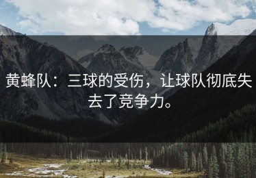 黄蜂队：三球的受伤，让球队彻底失去了竞争力。