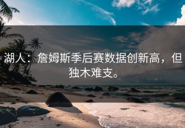 湖人：詹姆斯季后赛数据创新高，但独木难支。