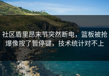 社区盾里昂末节突然断电，篮板被抢爆像按了暂停键，技术统计对不上