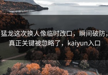 猛龙这次换人像临时改口，瞬间破防，真正关键被忽略了，kaiyun入口
