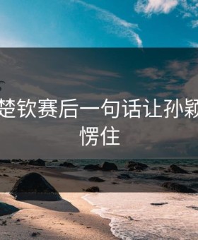 国乒王楚钦赛后一句话让孙颖莎当场愣住