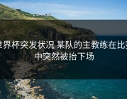 世界杯突发状况 某队的主教练在比赛中突然被抬下场