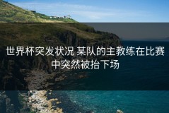 世界杯突发状况 某队的主教练在比赛中突然被抬下场