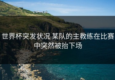 世界杯突发状况 某队的主教练在比赛中突然被抬下场