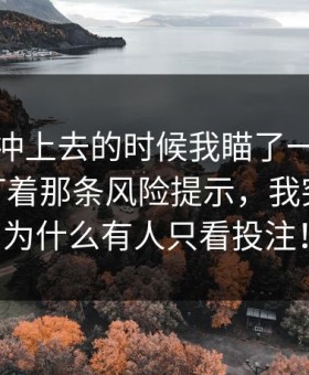 热度刚冲上去的时候我瞄了一眼爱游戏APP盯着那条风险提示，我突然懂了为什么有人只看投注！