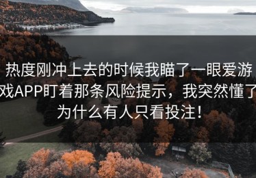 热度刚冲上去的时候我瞄了一眼爱游戏APP盯着那条风险提示，我突然懂了为什么有人只看投注！