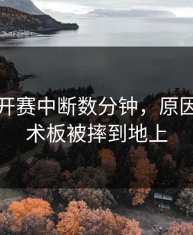 网球公开赛中断数分钟，原因竟是战术板被摔到地上