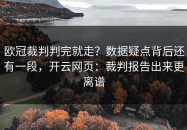 欧冠裁判判完就走？数据疑点背后还有一段，开云网页：裁判报告出来更离谱