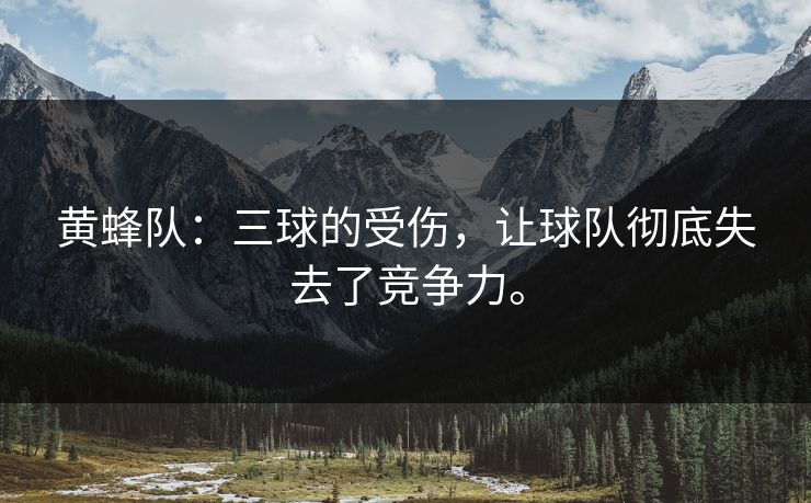 黄蜂队：三球的受伤，让球队彻底失去了竞争力。