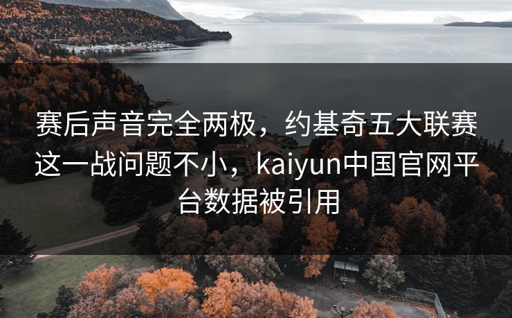 赛后声音完全两极，约基奇五大联赛这一战问题不小，kaiyun中国官网平台数据被引用