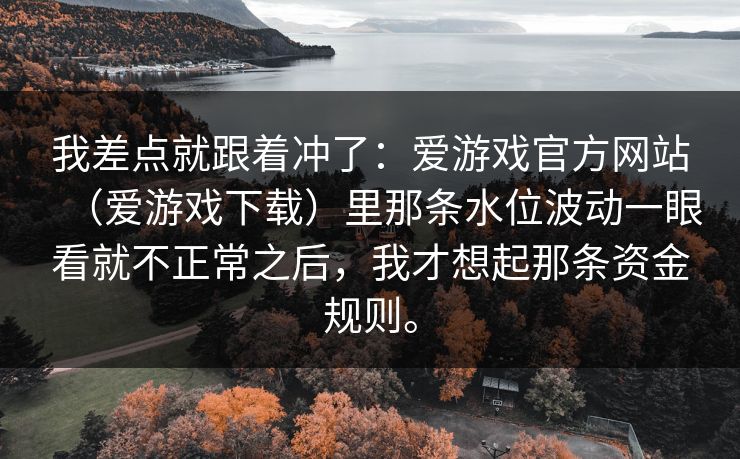 我差点就跟着冲了：爱游戏官方网站（爱游戏下载）里那条水位波动一眼看就不正常之后，我才想起那条资金规则。